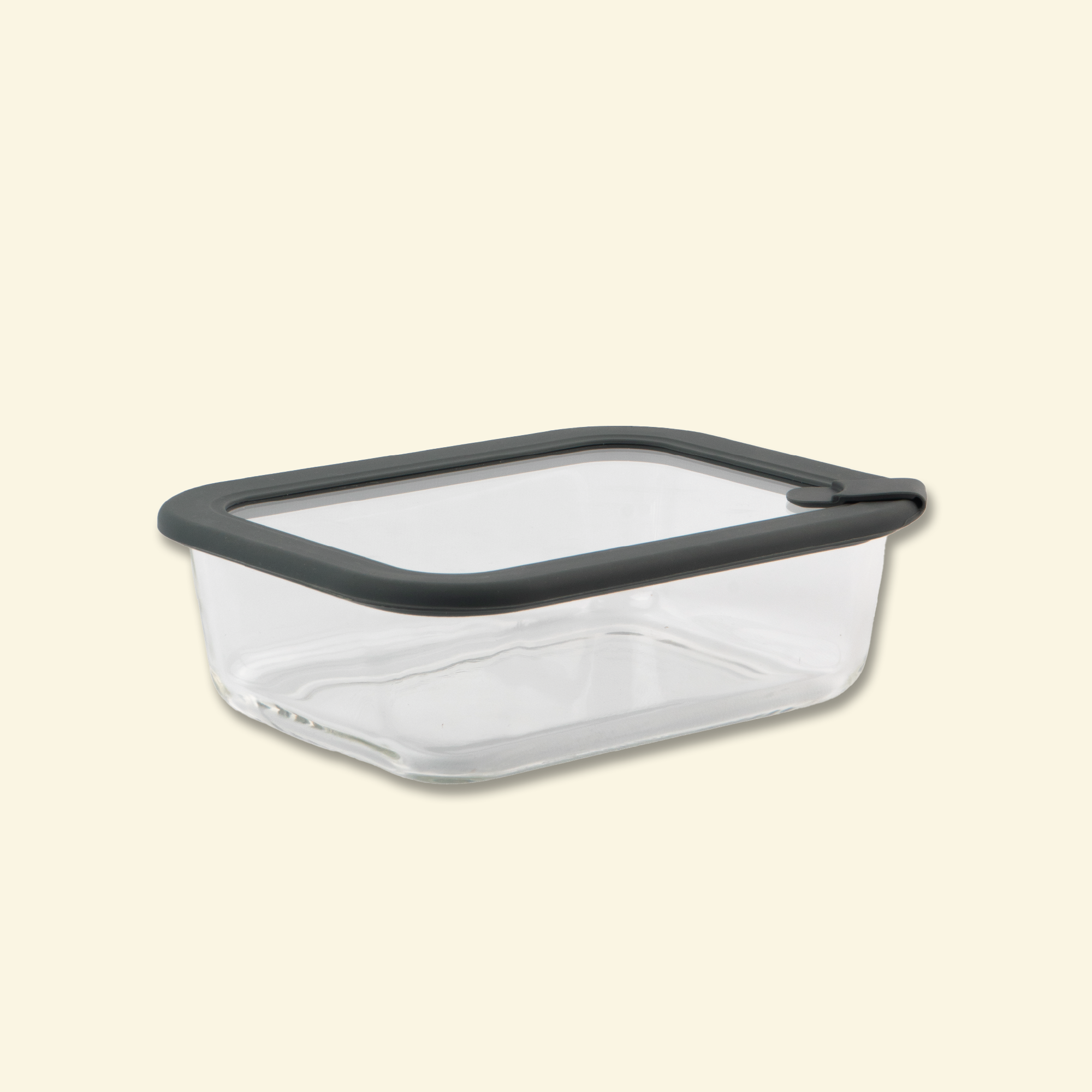 Contenedor rectangular de vidrio hermetico con tapa de vidrio y boton